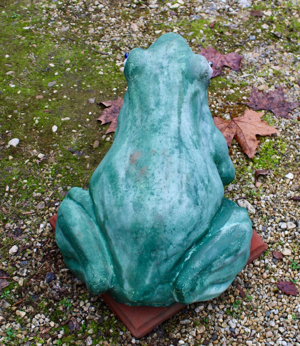 Pond Frog -photo-2