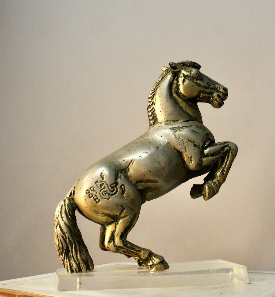 Cheval Cabré En Bronze Plein Par Jean Louis Cazieux-photo-4