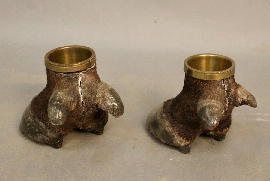 Pair Of Buffalo Feet Mounted In Empty Pocket-photo-3