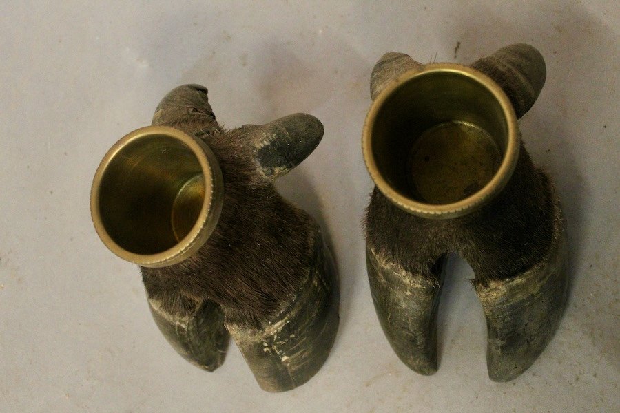 Pair Of Buffalo Feet Mounted In Empty Pocket-photo-1