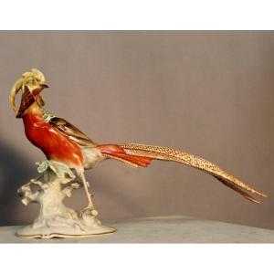 Golden Porcelain Pheasant Signed Hutschenreuther Karl Tutter