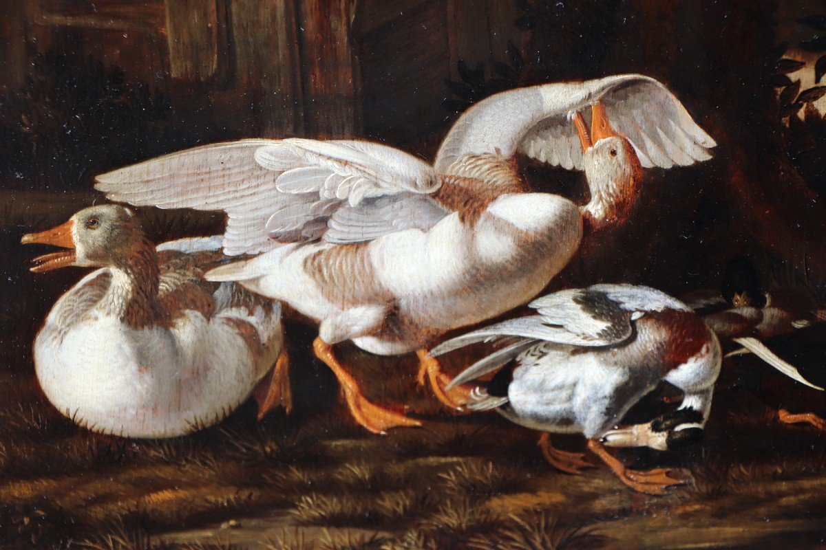 Dirck Wijntrack (1605/25 - 1678), Des canards se reposant au soleil couchant-photo-3