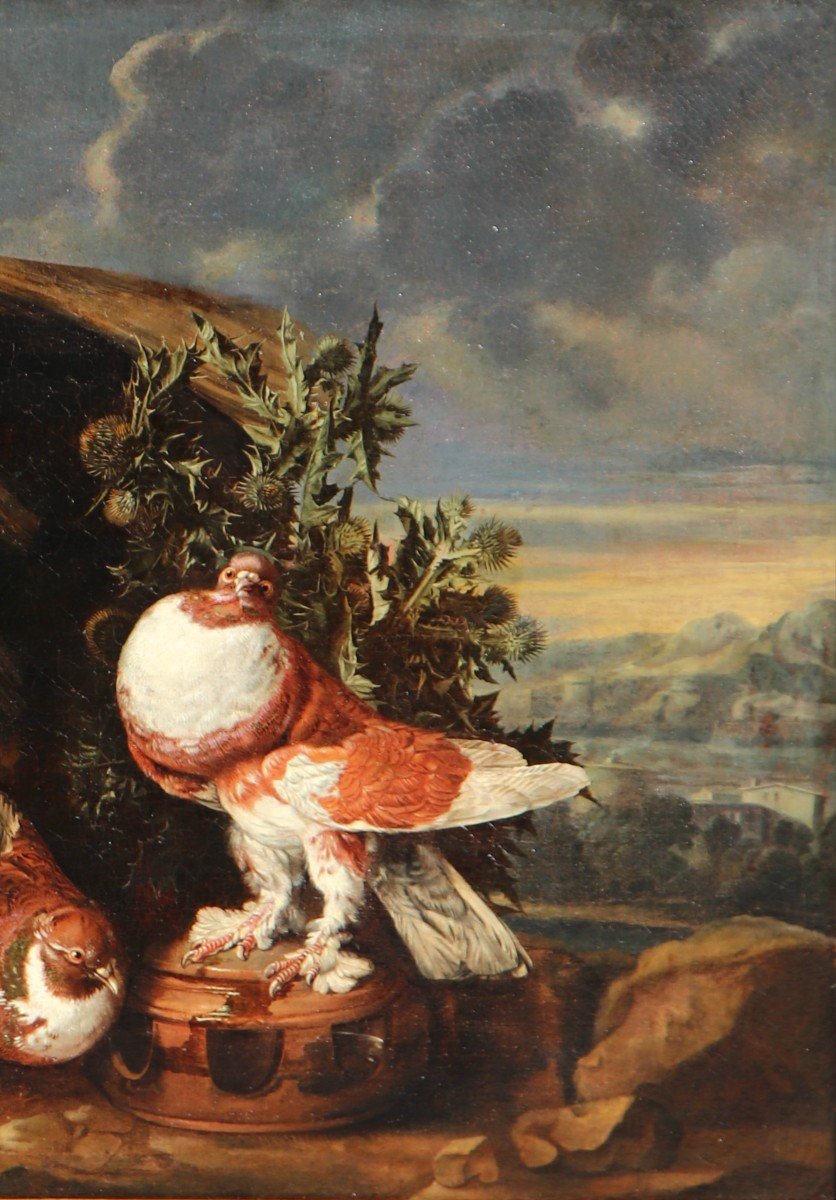 Carstiaen Luyckx (1623 - 1670), Pigeons And Rabbits In An Italianate Landscape-photo-4