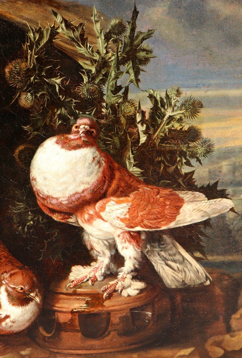 Carstiaen Luyckx (1623 - 1670), Pigeons And Rabbits In An Italianate Landscape-photo-7