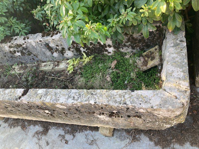 Old Limestone Trough-photo-4