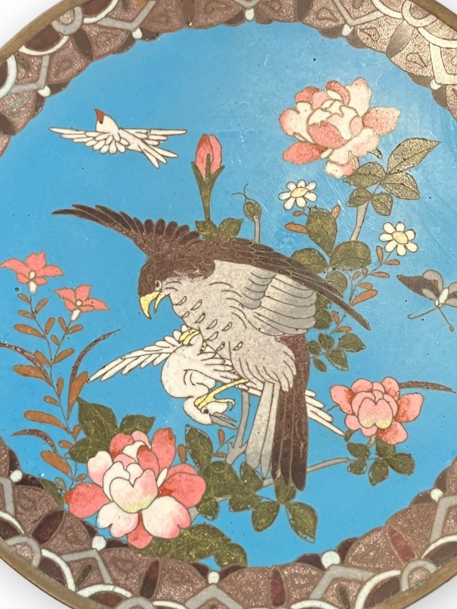 Cloisonne Enamel Dish Japan XIXth "hunting Eagle"-photo-2