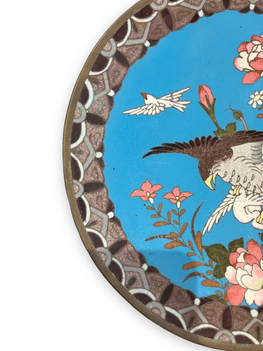 Cloisonne Enamel Dish Japan XIXth "hunting Eagle"-photo-5