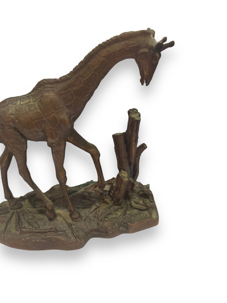 Girafe En Bronze Par Don Polland Pour The Franklin Mint-photo-3