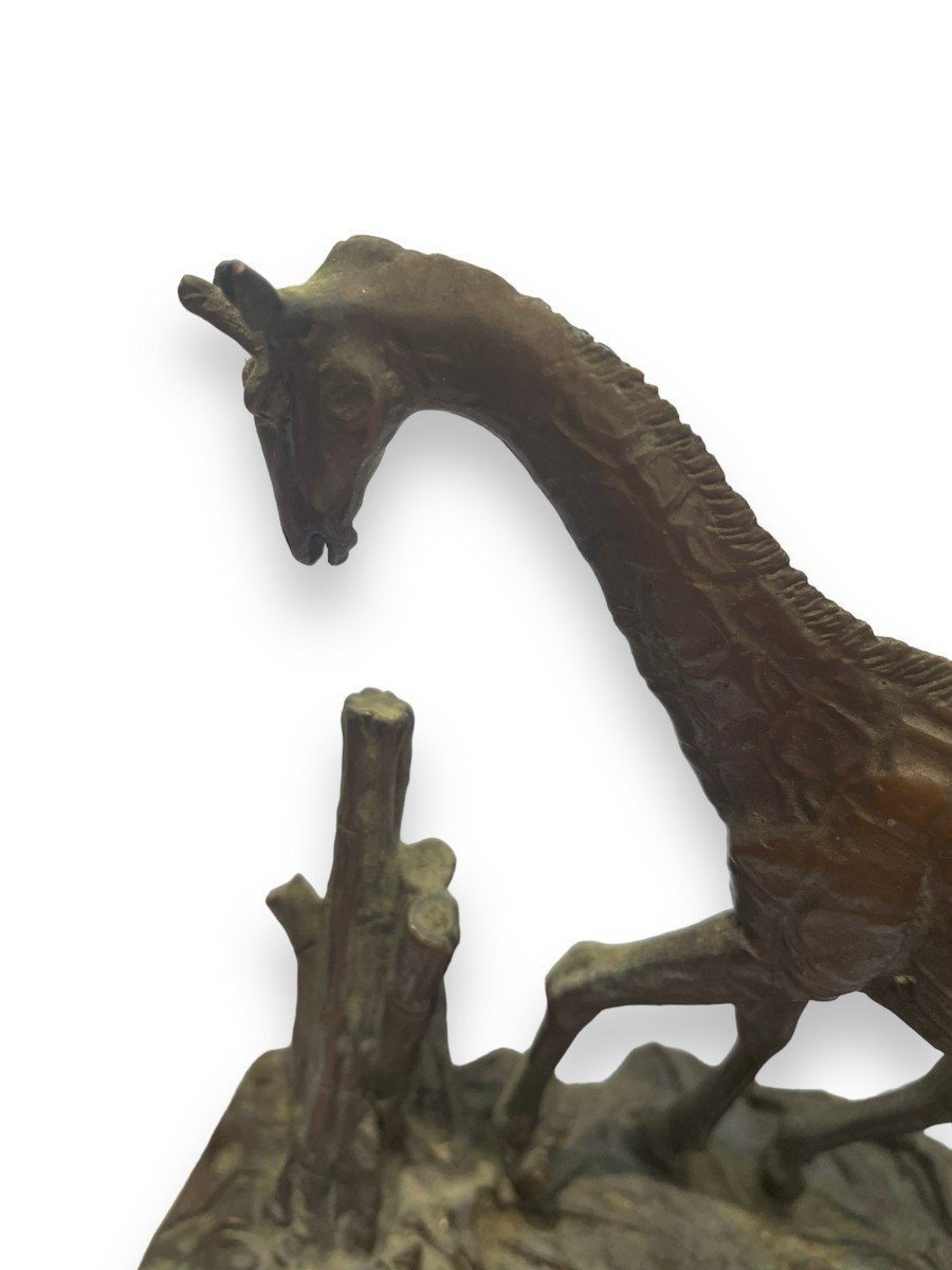 Girafe En Bronze Par Don Polland Pour The Franklin Mint-photo-5