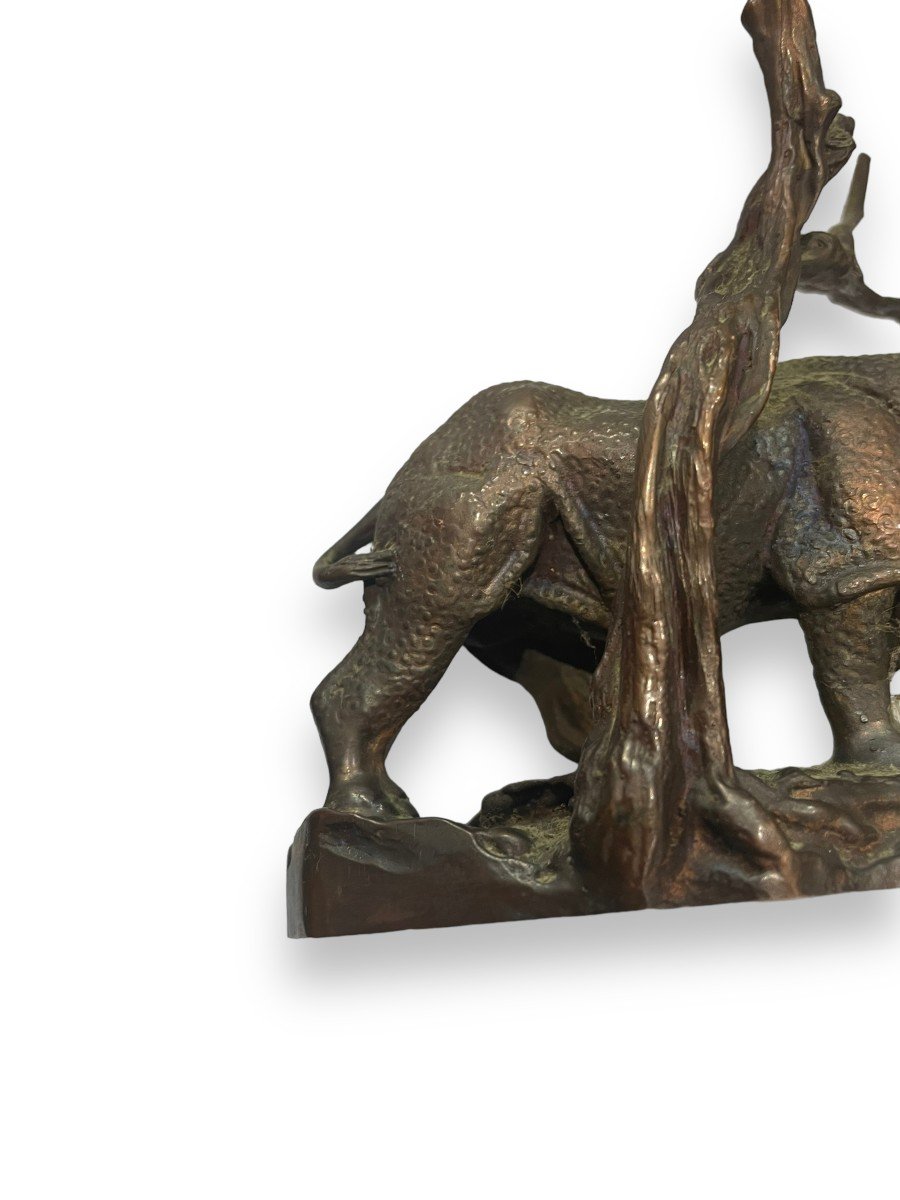 Bronze Rhinoceros By Don Polland For The Franklin Mint-photo-8