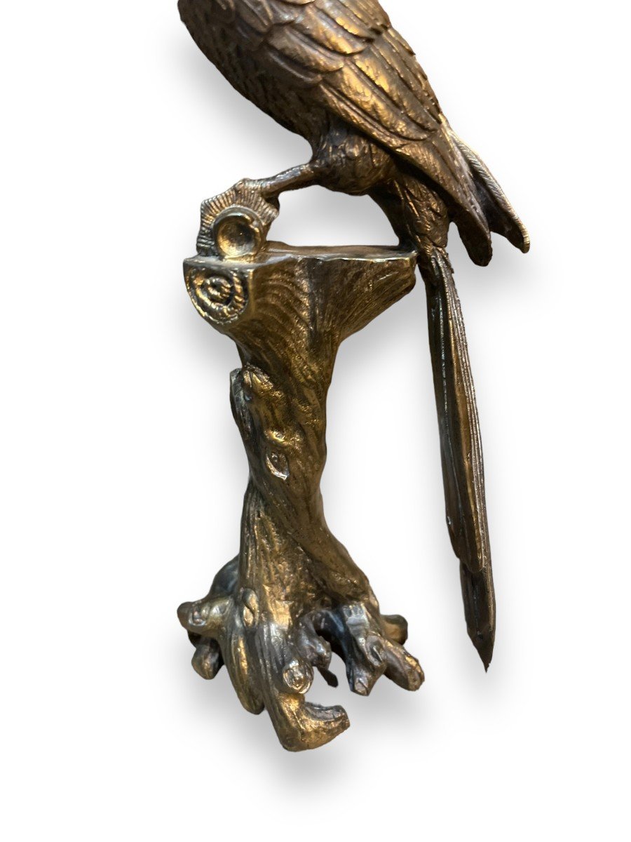 19th Century Golden Patina Bronze Parrot -photo-6