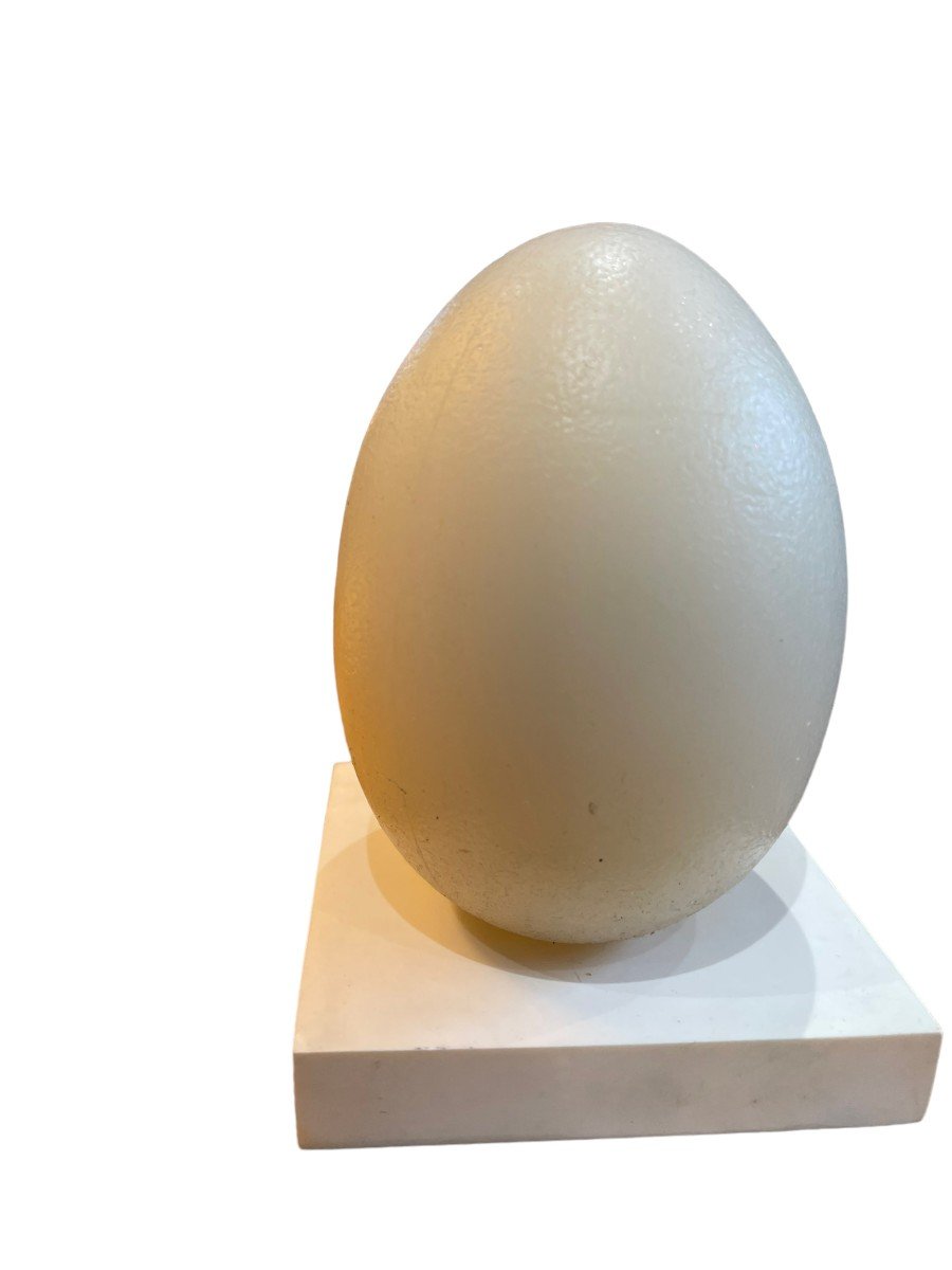  Modernist Egg Lamp-photo-3