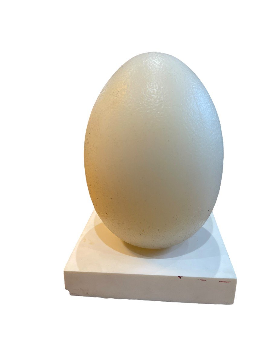  Modernist Egg Lamp-photo-1