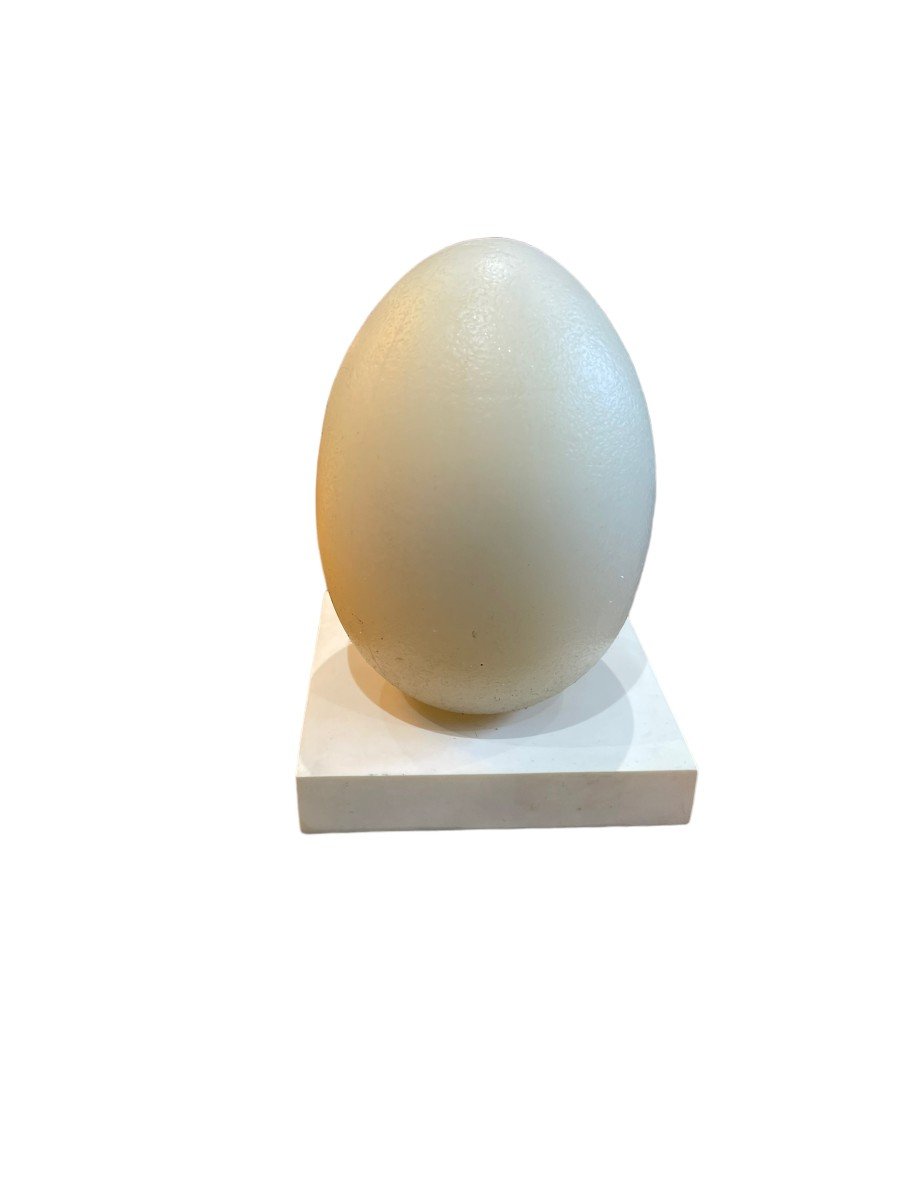  Modernist Egg Lamp-photo-2