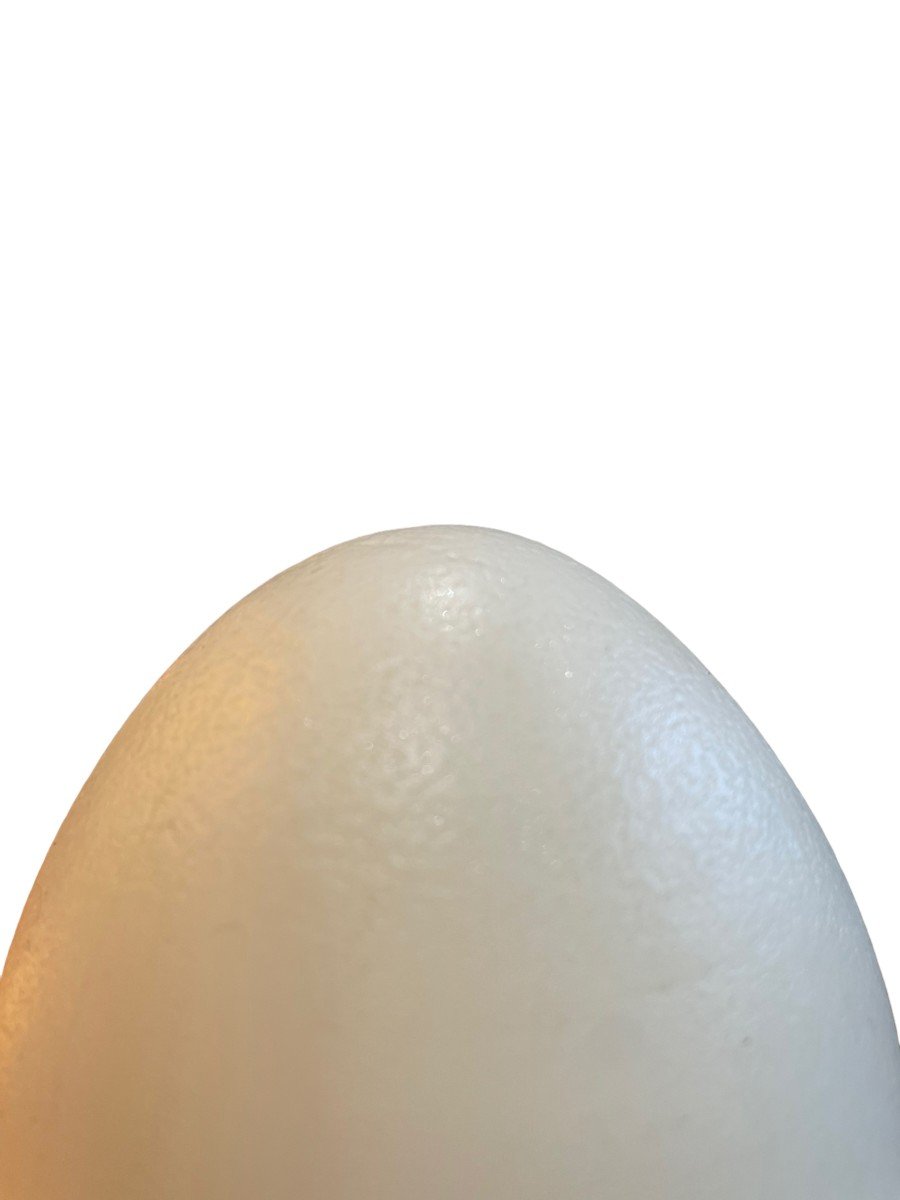  Modernist Egg Lamp-photo-5