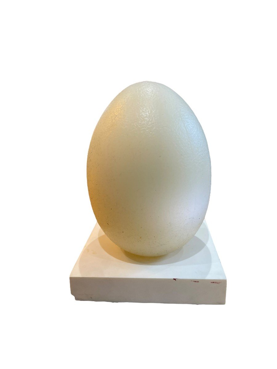  Modernist Egg Lamp-photo-7