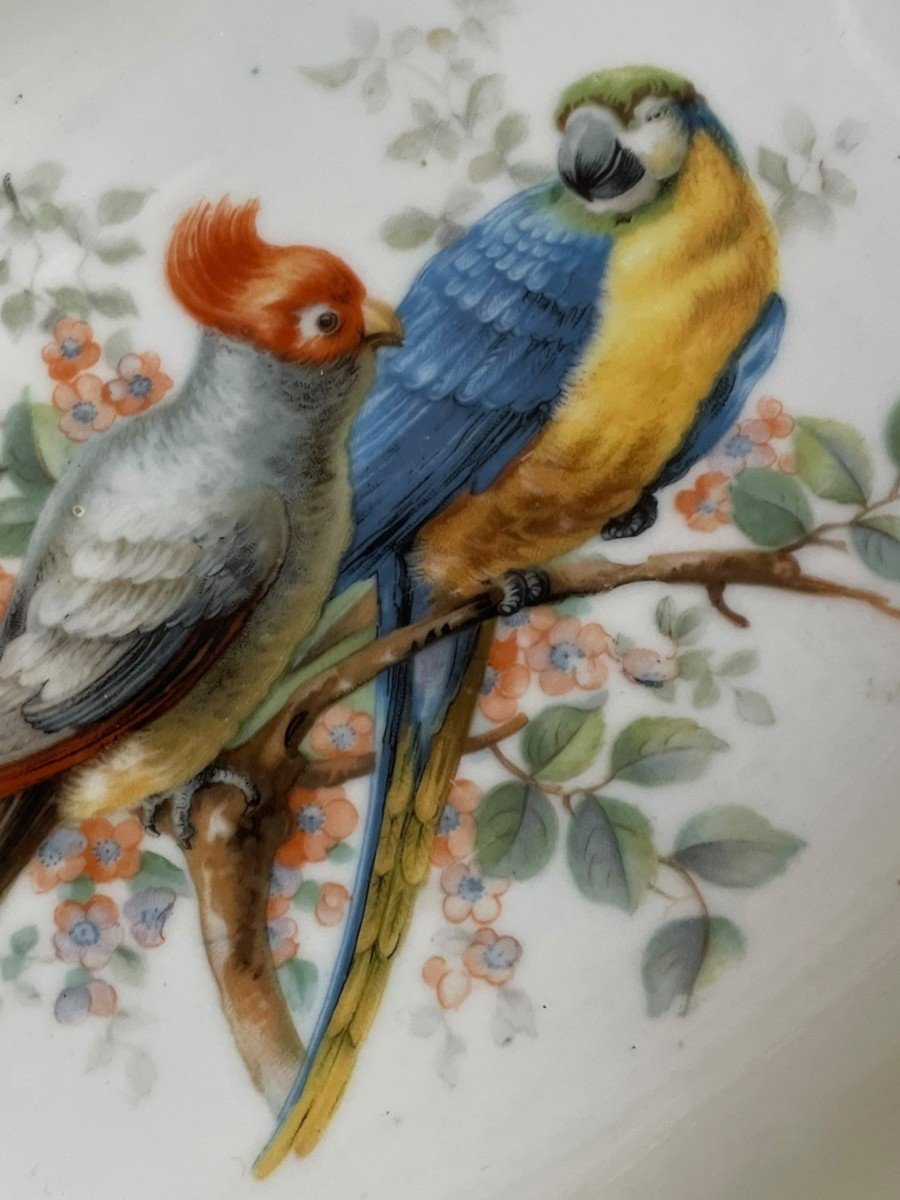 Oblong Dish In Bavarian Porcelain Exotic Birds-photo-4