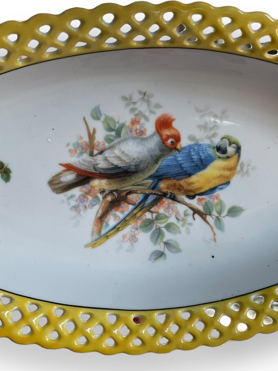 Oblong Dish In Bavarian Porcelain Exotic Birds-photo-1