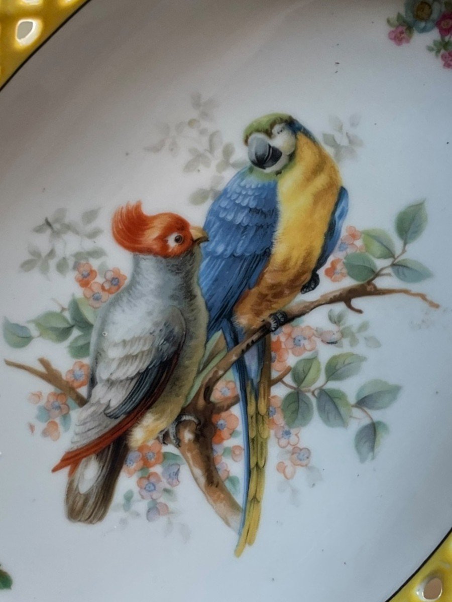 Oblong Dish In Bavarian Porcelain Exotic Birds-photo-5