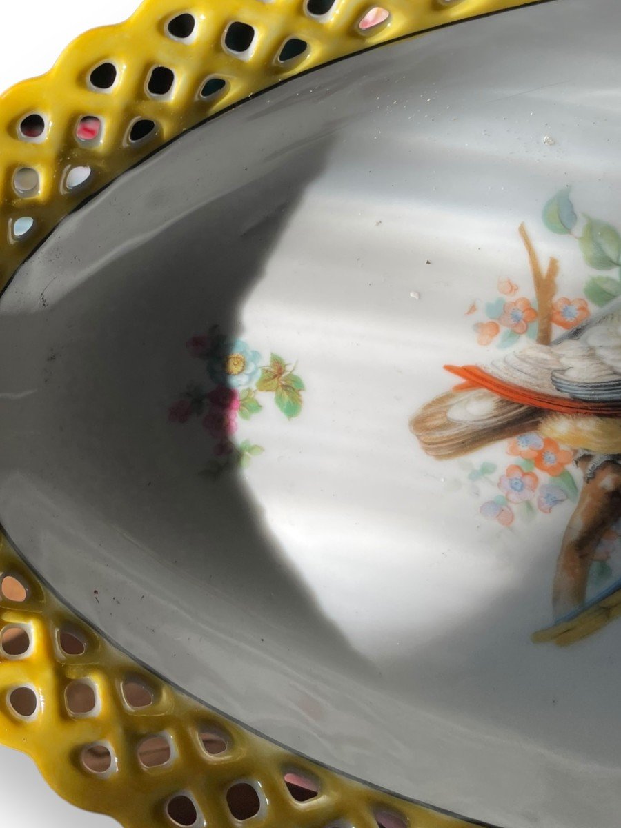 Oblong Dish In Bavarian Porcelain Exotic Birds-photo-6