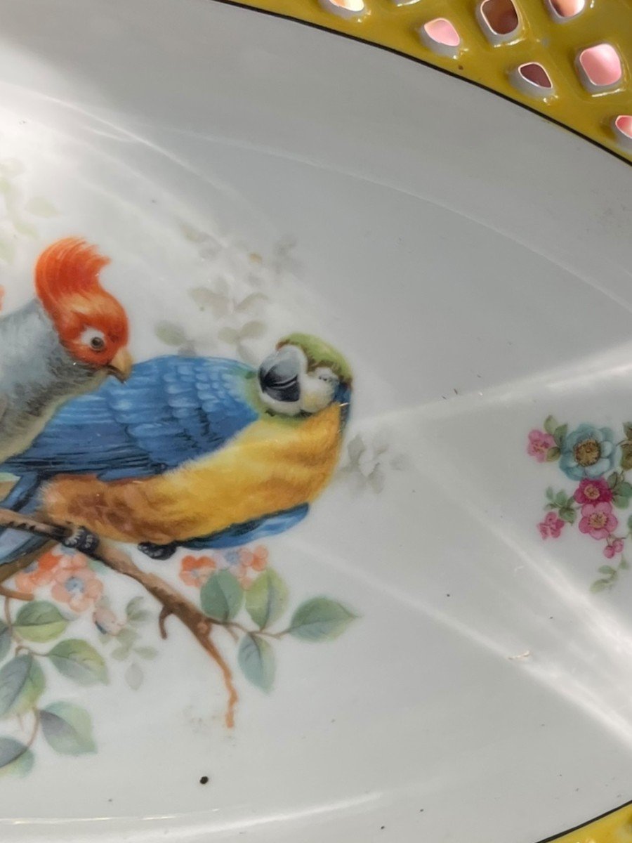 Oblong Dish In Bavarian Porcelain Exotic Birds-photo-7