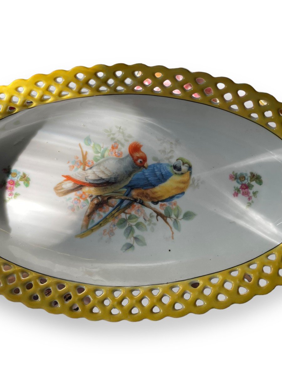 Oblong Dish In Bavarian Porcelain Exotic Birds-photo-8