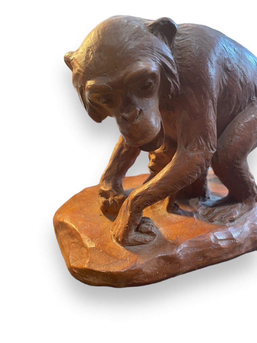 Monkeys Subject In Terracotta By H. Poncet Fils-photo-4