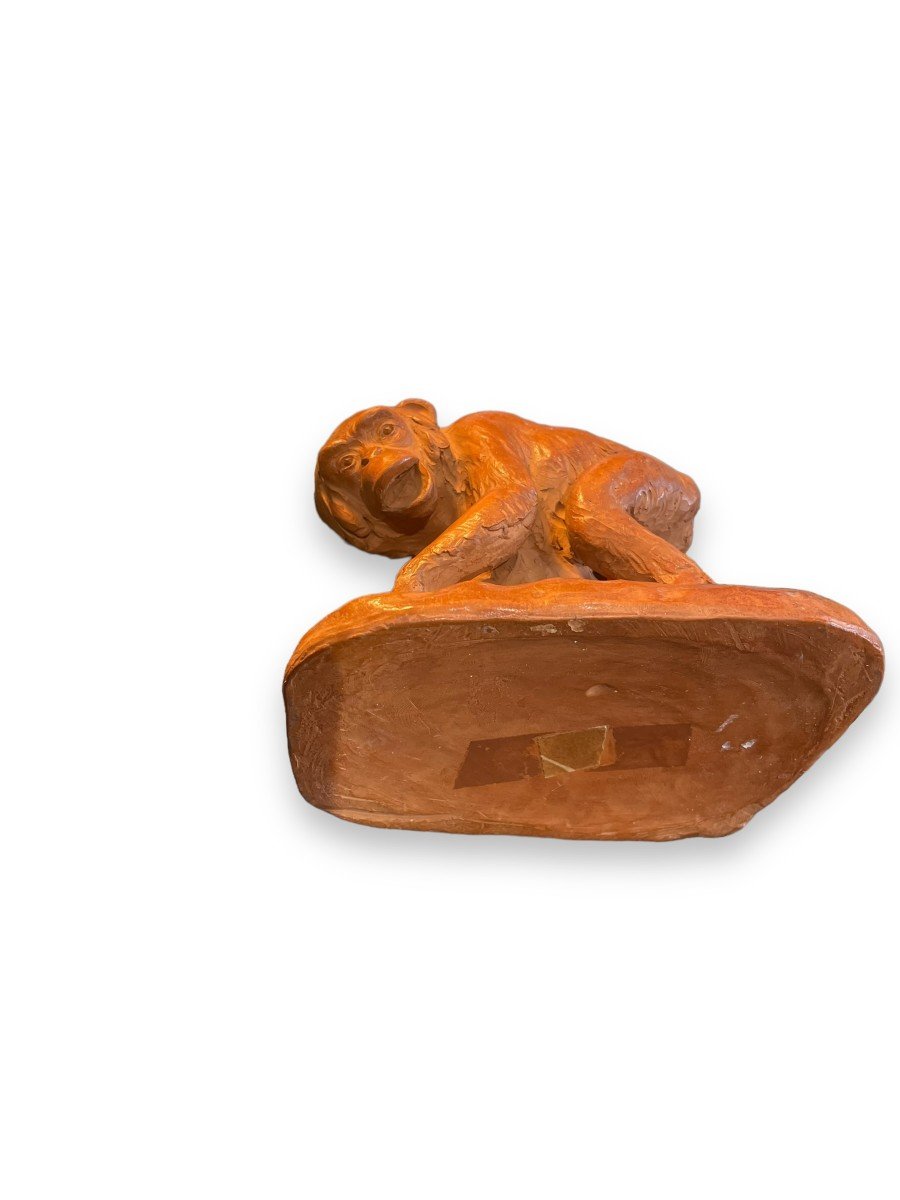 Monkeys Subject In Terracotta By H. Poncet Fils-photo-8