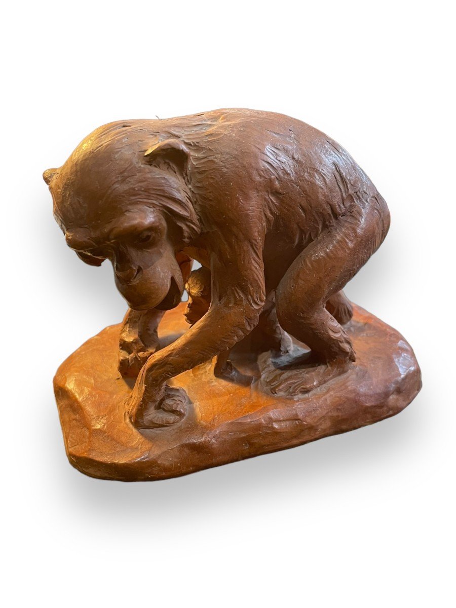 Monkeys Subject In Terracotta By H. Poncet Fils