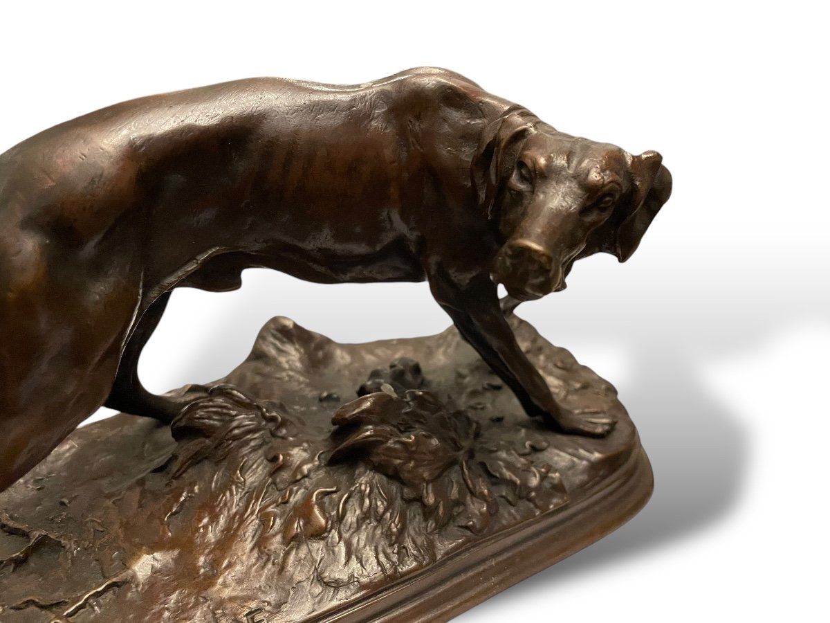 Pierre-jules Mêne Bronze Dog 19th Century-photo-1