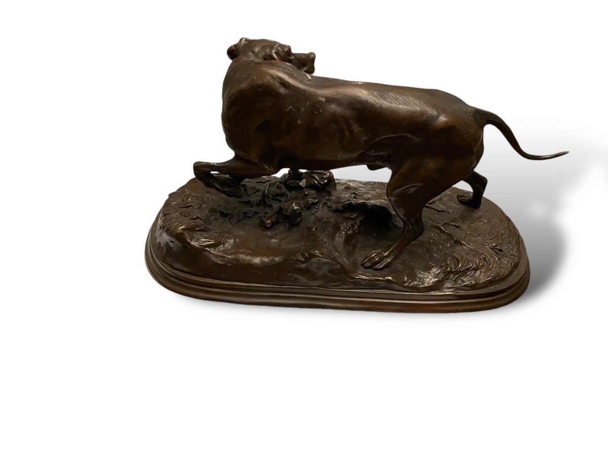 Pierre-jules Mêne Bronze Dog 19th Century-photo-3