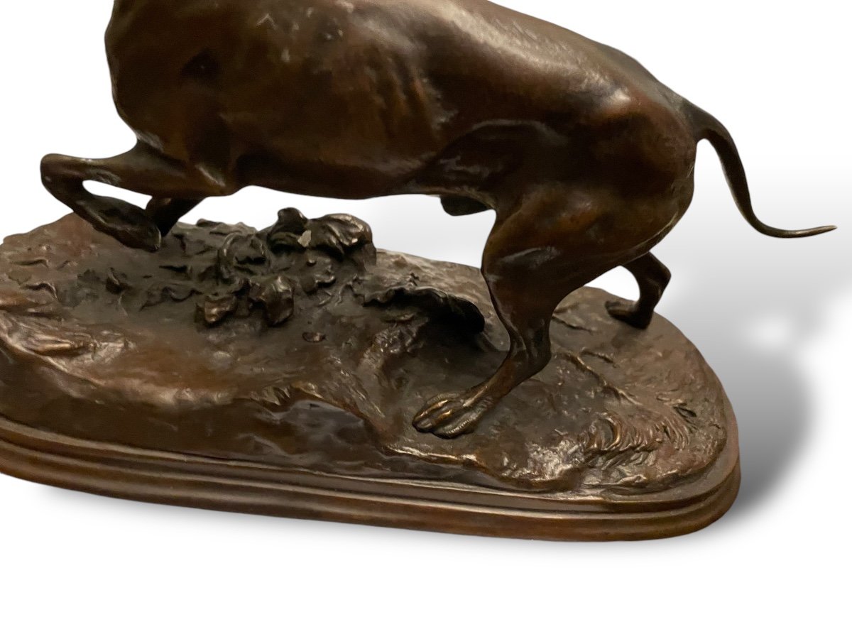 Pierre-jules Mêne Bronze Dog 19th Century-photo-6