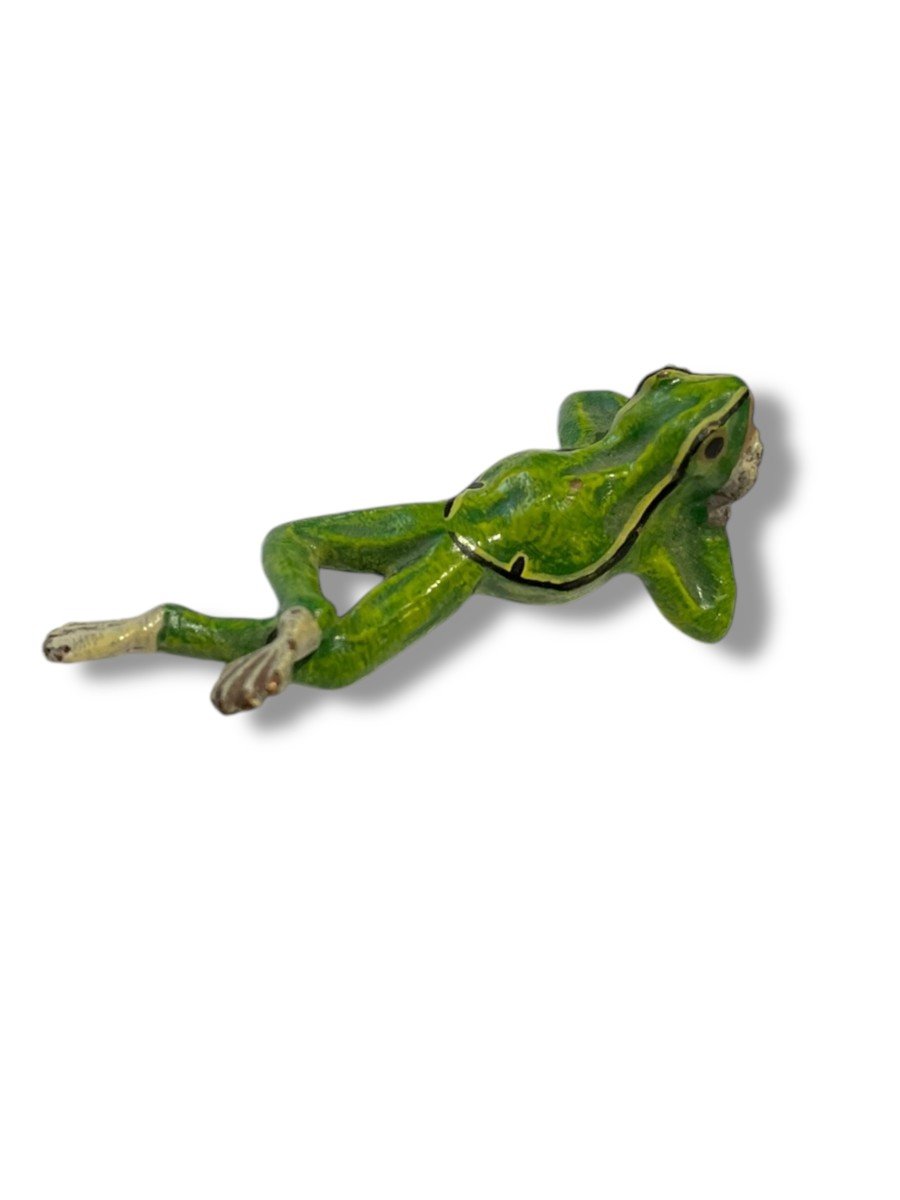 19th Century Vienna Bronze The Reclining Frog -photo-6