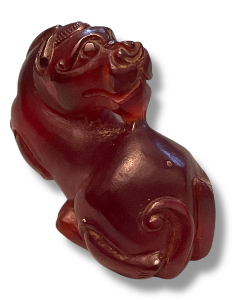 China Carved Carnelian Dragon Fo Dog-photo-4