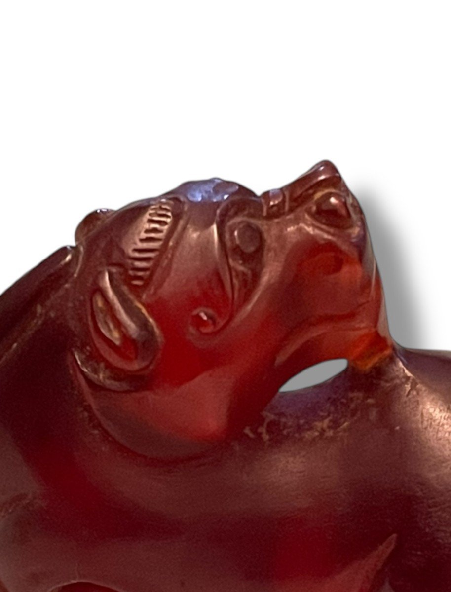 China Carved Carnelian Dragon Fo Dog-photo-1