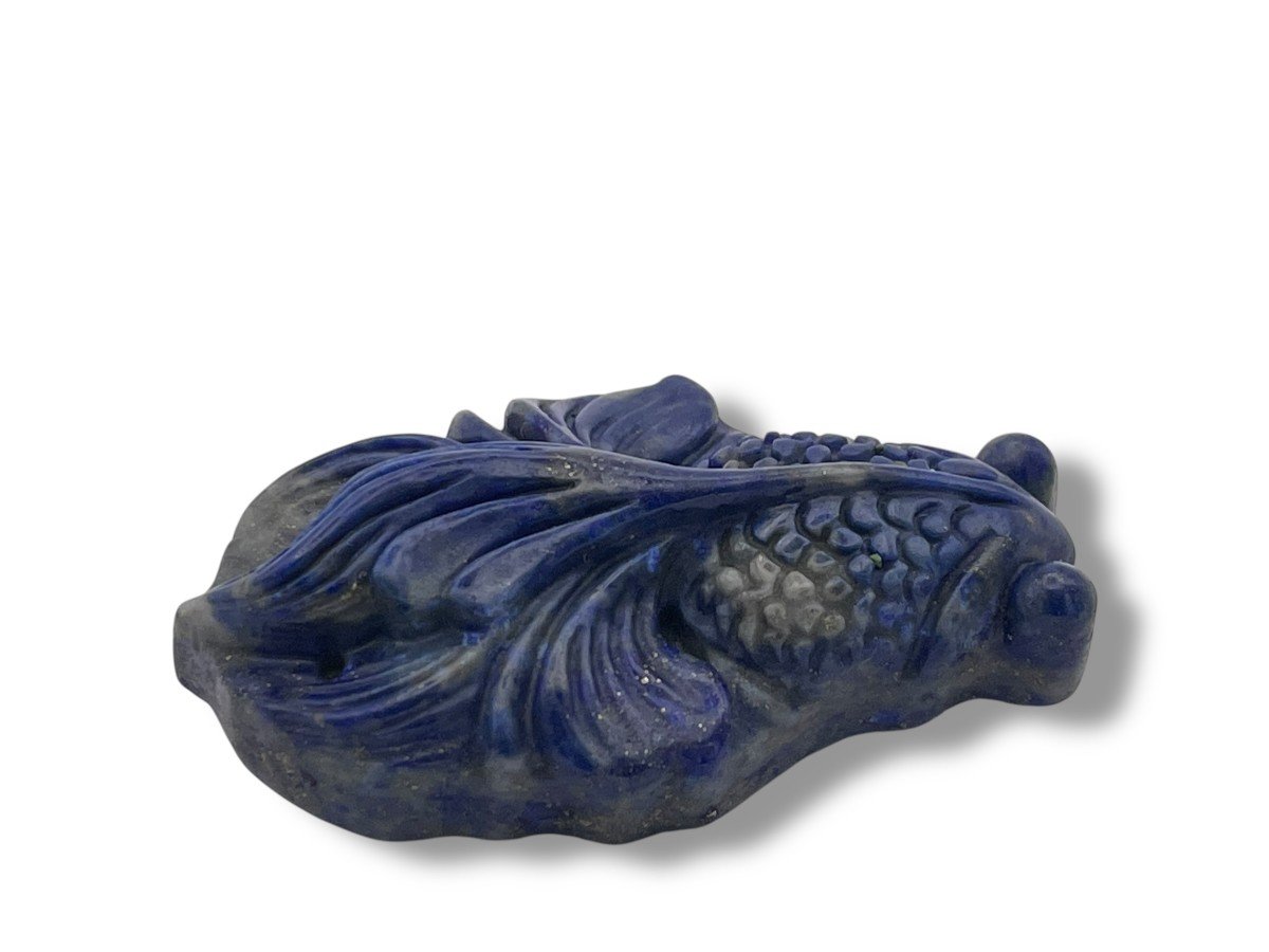 Poisson En Lapis Lazuli-photo-2