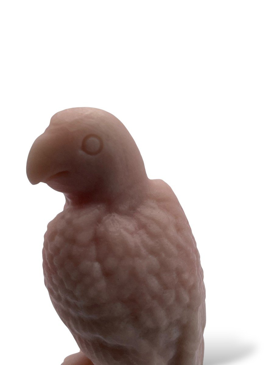 Rose Quartz Crystal Parrot-photo-6