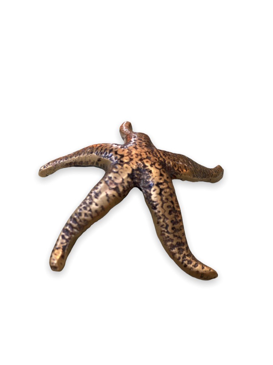 Peerage England Starfish Bronze Paperweight-photo-3
