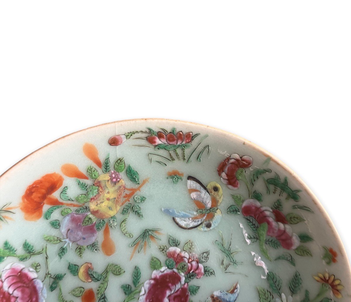 China Celadon Porcelain Plate Decor Of Butterflies, Flowers And Birds Nineteenth-photo-3