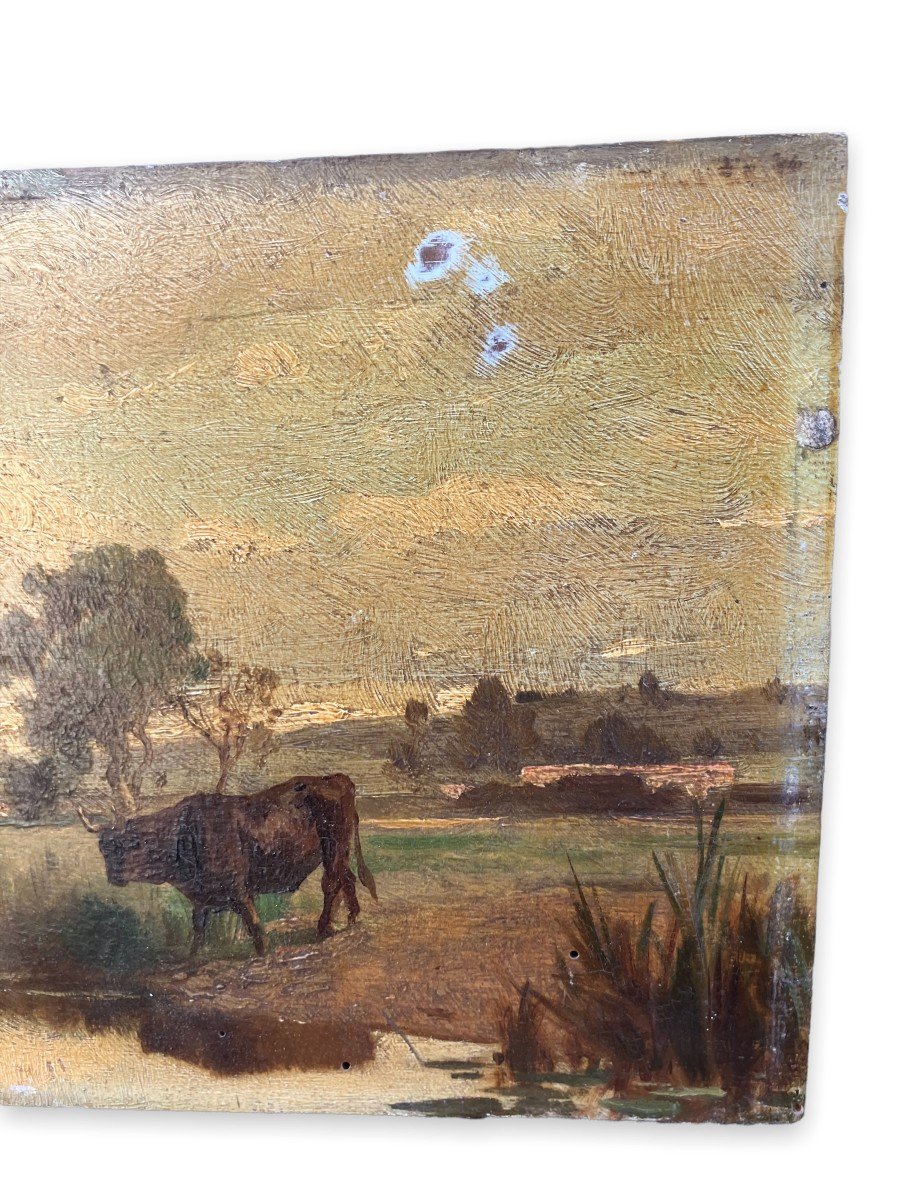 Oil On Panel XIXth "french Pastures" Follower Of Barbizon-photo-2