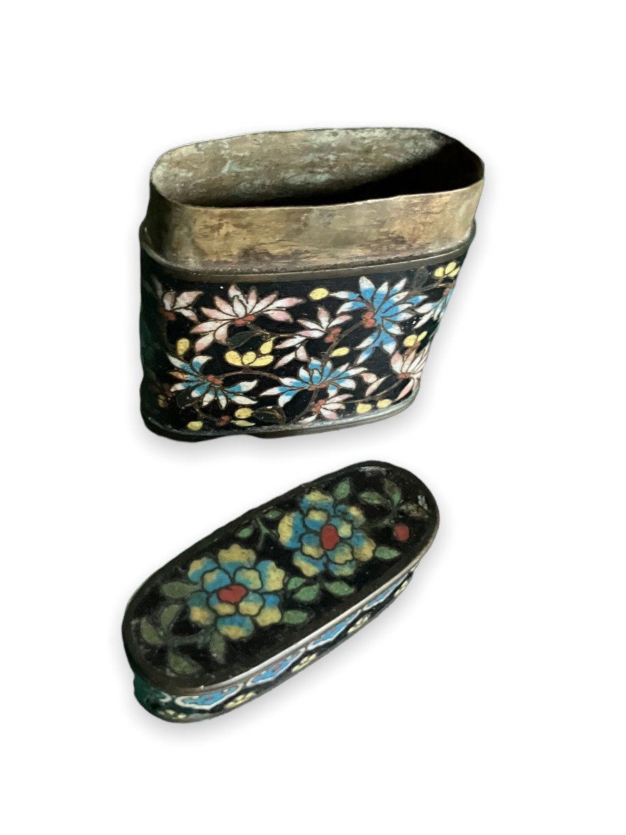 Chinese Cloisonne Case XIXth-photo-2