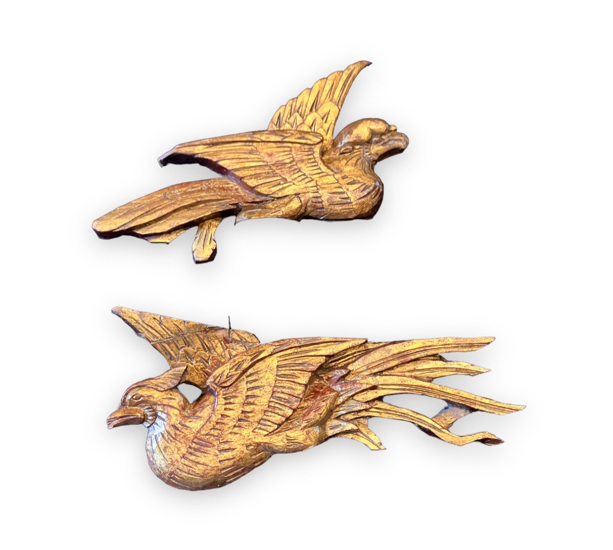 Pair Of Birds In Golden Wood