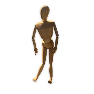 Real Size Wooden Study Mannequin Twentieth