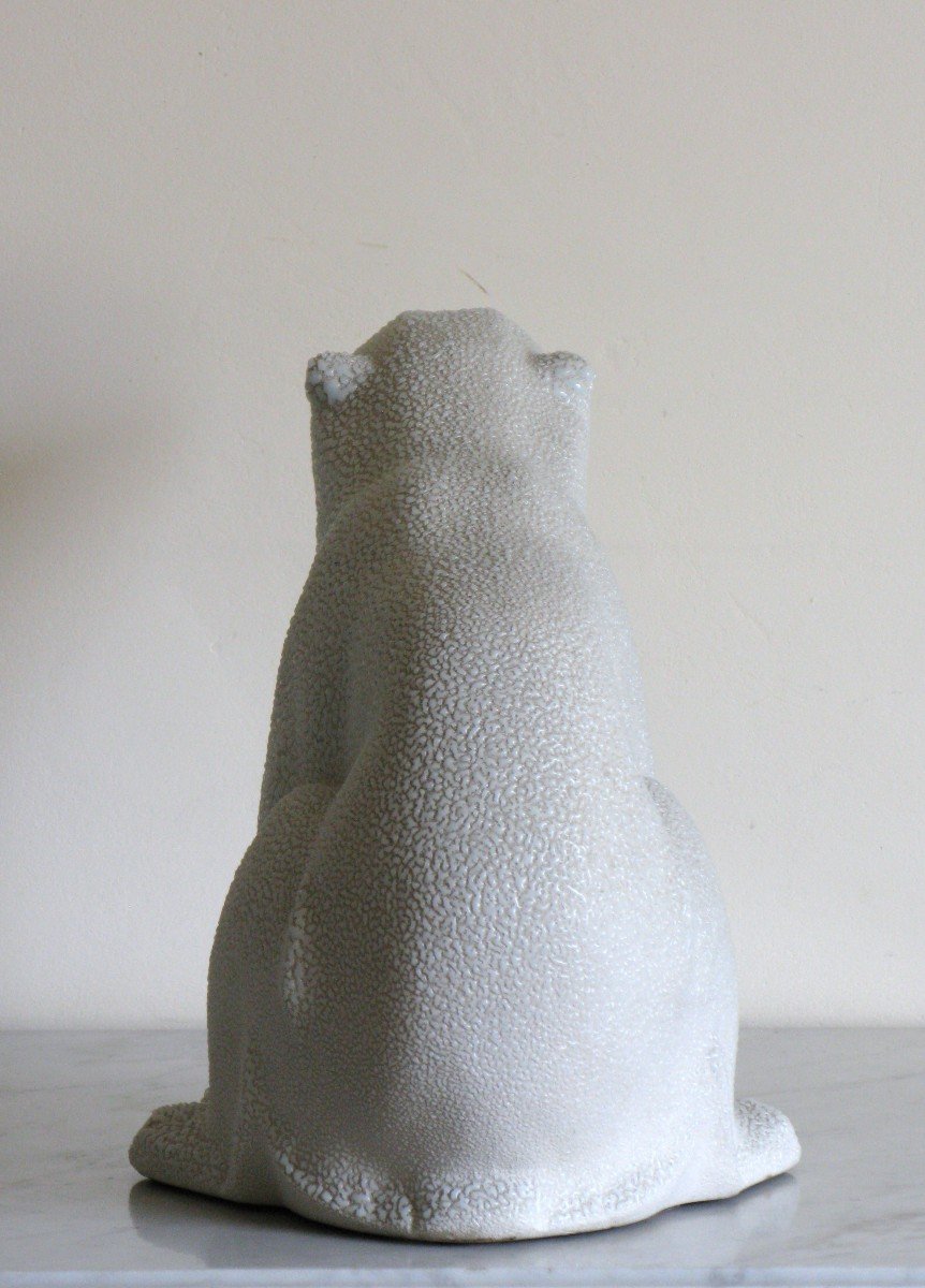 "polar Bear"-photo-3