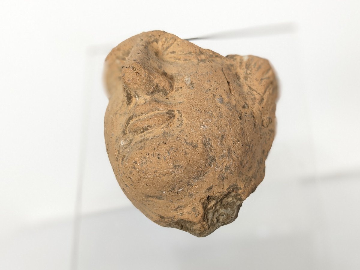 Fragment de visage, terre cuite, Rome -- Bas Empire Ier-IVe siècle-photo-4