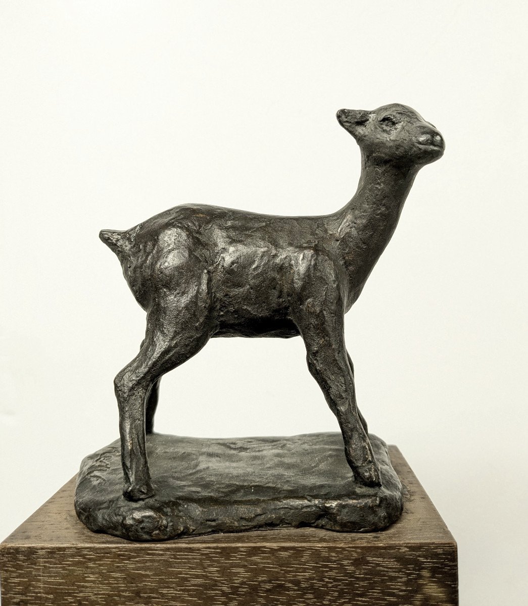 The Fawn, Bronze By Kenjiro Shirai, Circa 1950-60 #633-photo-2