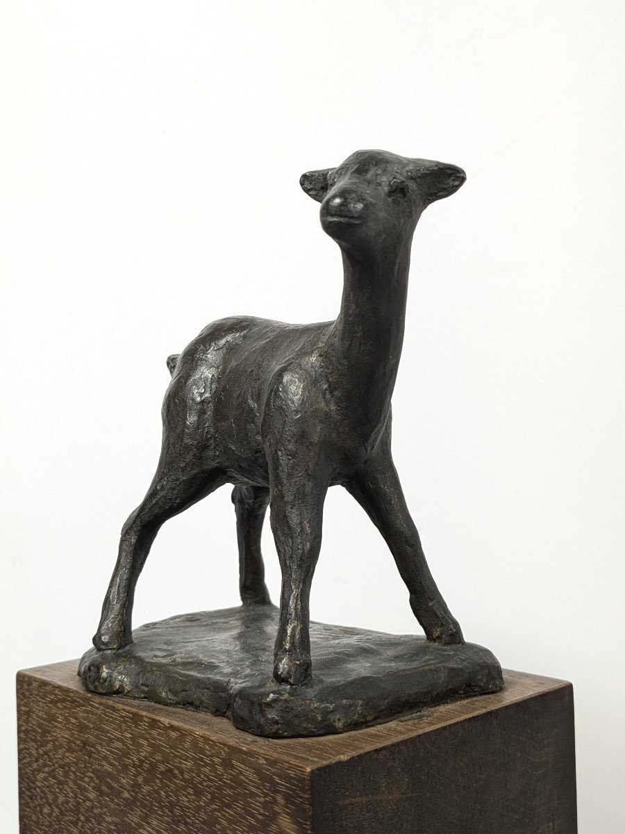 The Fawn, Bronze By Kenjiro Shirai, Circa 1950-60 #633-photo-3