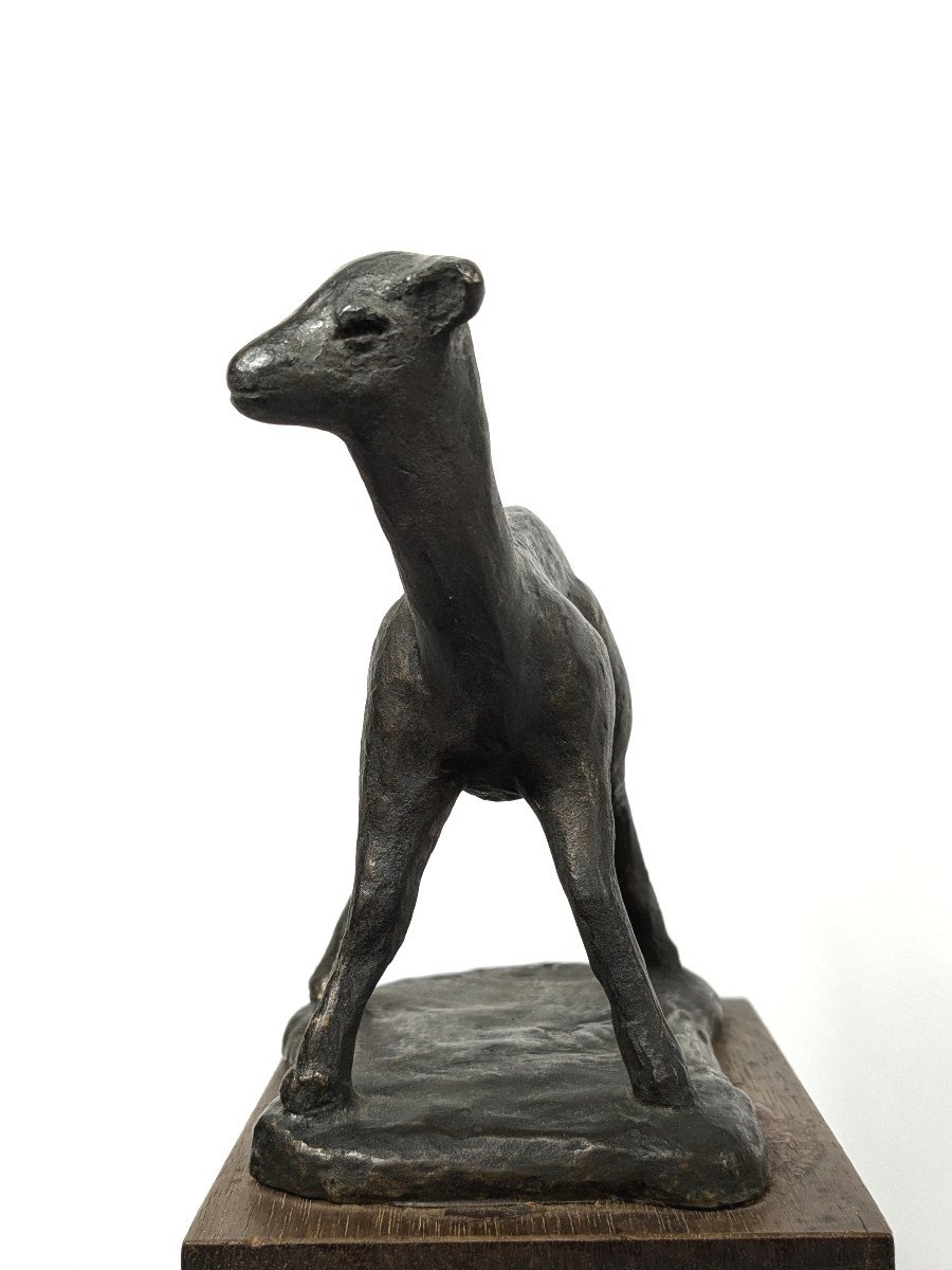 The Fawn, Bronze By Kenjiro Shirai, Circa 1950-60 #633-photo-4