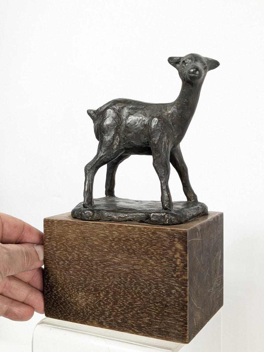 The Fawn, Bronze By Kenjiro Shirai, Circa 1950-60 #633-photo-2