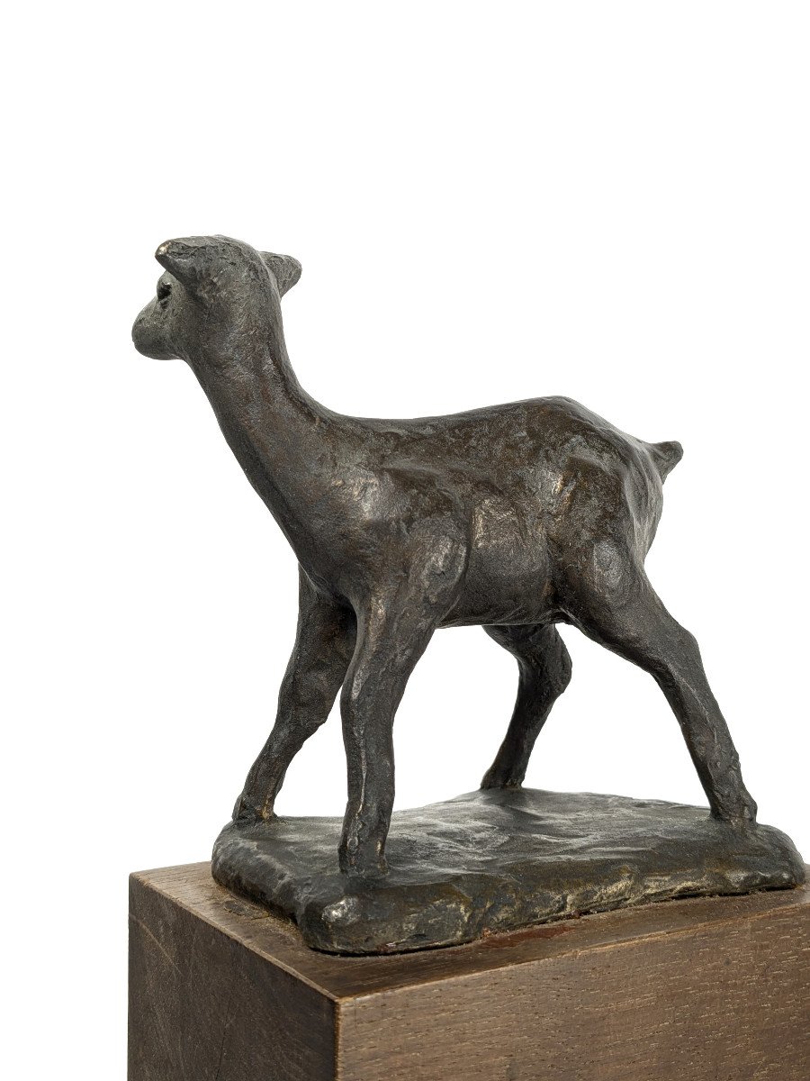 The Fawn, Bronze By Kenjiro Shirai, Circa 1950-60 #633-photo-3